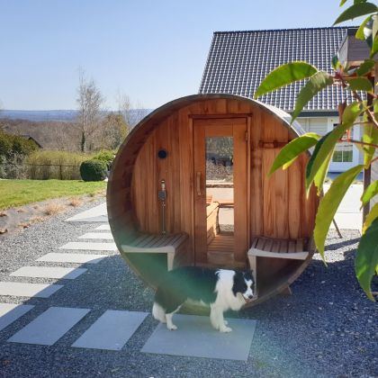 Bordercollie Nochy is de mascotte van Wellnesshuisjes Faro Durbuy